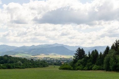 Yeşil dağ çayırı manzarası
