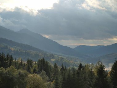 Ağaçları ve dağları olan bir çayır. Slovakya