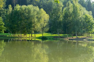 Doğanın arka planında güzel bir göl