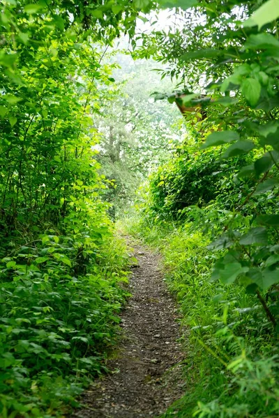 Rural Road Countryside Day Time Shot — Stock Photo, Image