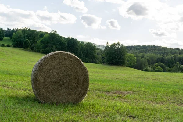 Slovakya Daki Güzel Doğal Manzara — Stok fotoğraf