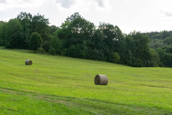 Slovakya Daki Güzel Doğal Manzara — Stok fotoğraf