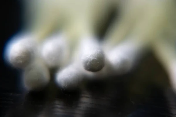Wymazy Bawełny Lub Pałeczki Uszu — Zdjęcie stockowe