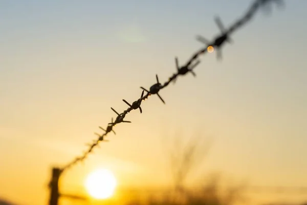 Barbed wire on the fence. Slovakia