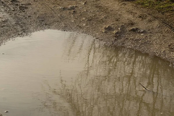 Puddle Road Rain Slovakia — Stock Photo, Image