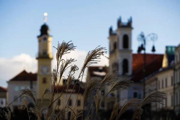 Cityscape Day Time Shot — Stock Photo, Image