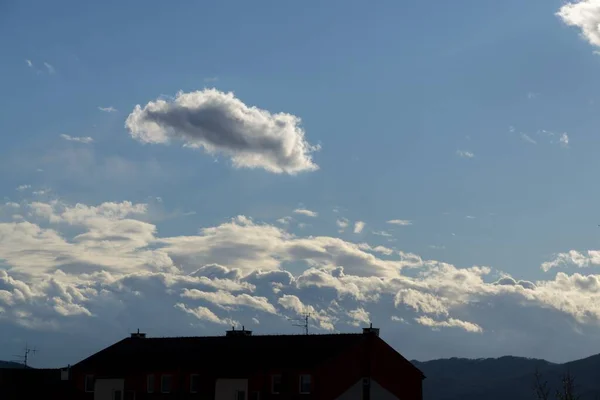 Sommerlandschaft Mit Berg Und Wald — Stockfoto