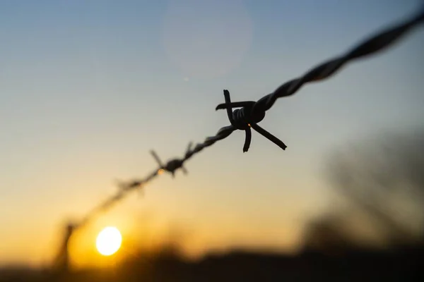 Taggtråd Staketet Slovakien — Stockfoto