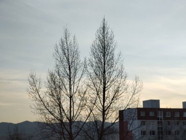 Zilina şehrindeki binaların üzerinde gün doğumu ve gün batımı. Slovakya 