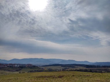 Orman ve ağaçlarla dolu yaz manzarası