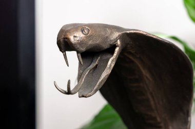 Arka plandaki metal yılanı kapat