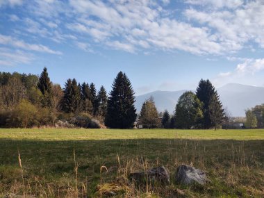 Yeşil çimenli ve mavi gökyüzü olan dağ manzarası