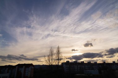 Dağ ve ormanlı yaz manzarası