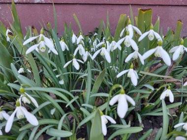 Beyaz kruvazör yakın çekim