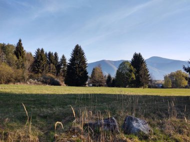 Yeşil çimenli ve mavi gökyüzü olan dağ manzarası