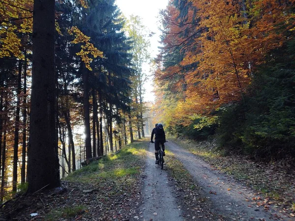 summer landscape with forest and bike rider riding on road with the mountains on a sunny autumn day