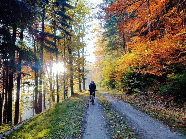 summer landscape with forest and bike rider riding on road with the mountains on a sunny autumn day