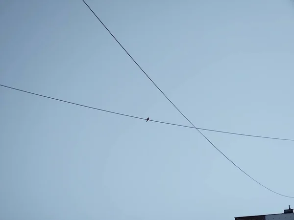 Linhas Alta Tensão Fundo Céu Azul — Fotografia de Stock