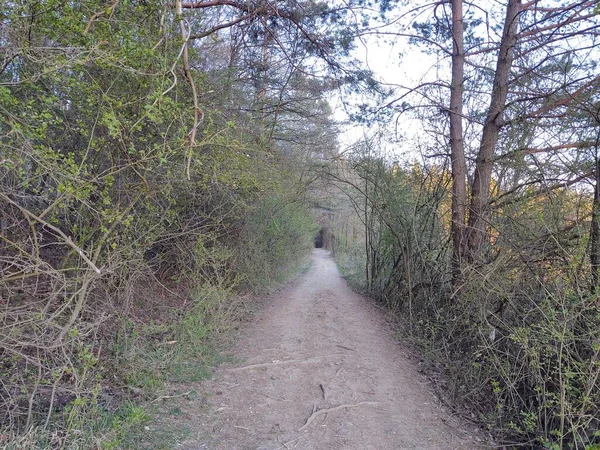 Rural Road Countryside Day Time Shot — Stock Photo, Image