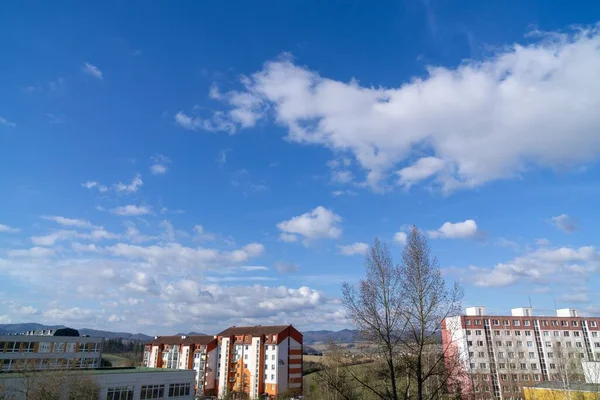 Paesaggio Estivo Con Montagna Foresta — Foto Stock