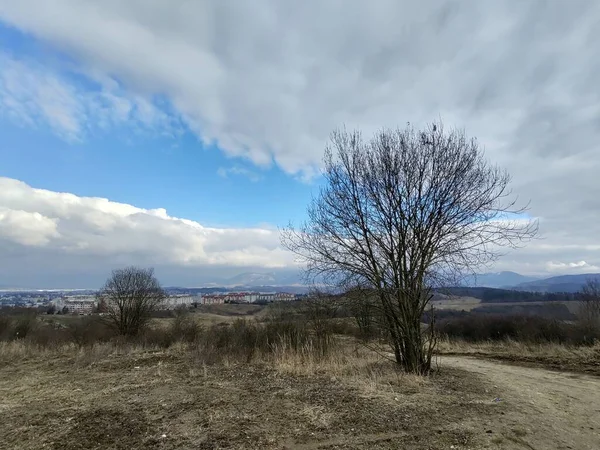 Východ Západ Slunce Nad Budovami Městě Žilina Slovensko — Stock fotografie