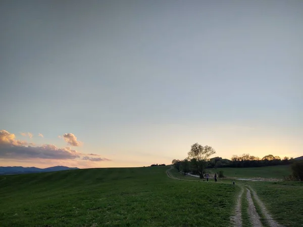 Paisaje Rural Con Árboles Hierba Verde —  Fotos de Stock