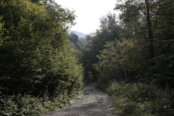 Path Through Mountain Hills Day Time Shot Daylight Sunny Stock Photo Path Through Mountain Hills Day Time Shot Daylight Sunny Stock Photo