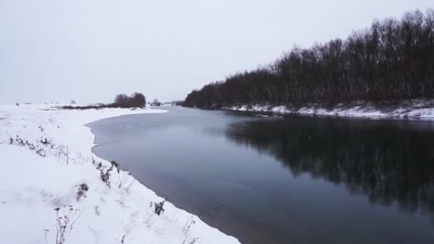 Calme journée nature en hiver — Video