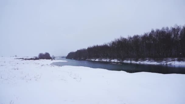 Rives de la rivière dans une journée d'hiver enneigée — Video