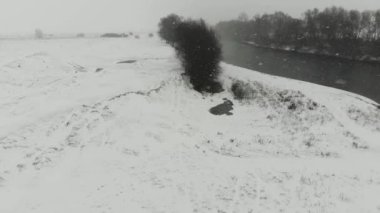 Hava görüntüsü. Güzel kış nehri ve karlı orman üzerinde uçmak