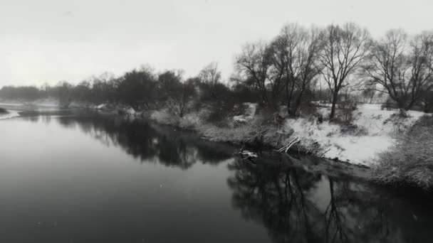 Día de invierno tranquilo. hermosa naturaleza — Vídeos de Stock