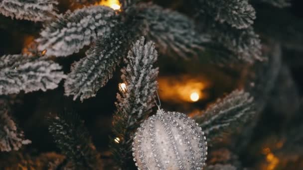 Işıklı köknar ağacına Noel oyuncağını kapat. — Stok video