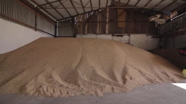 Close up Panorama hangáru pro skladování pšeničných zrn. — Stock video