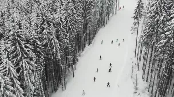 Muchos esquiadores y snowboarders descienden por la pista de esquí — Vídeo de stock