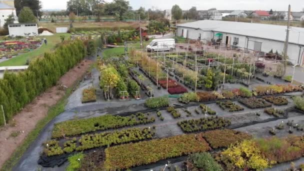 Vue aérienne des plantes de serre à l'extérieur — Video