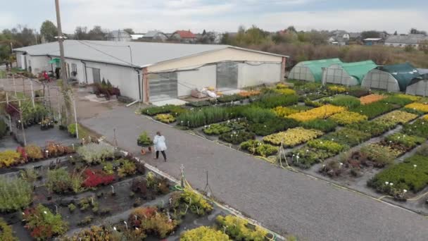 Aerial view of greenhouse garden outside — 비디오