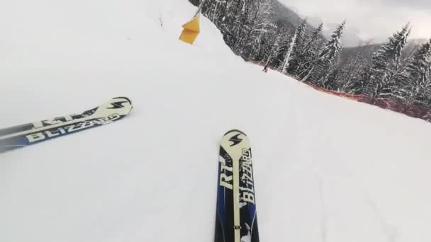 Skiing down a slope. a first-person view — 비디오