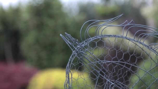 Vista di bellissimi cespugli in un giardino — Video Stock