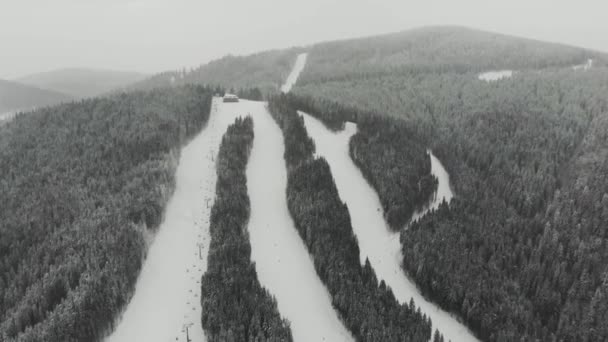 4k εναέρια άποψη του δρόμου σκι στο δάσος ερυθρελάτης — Αρχείο Βίντεο