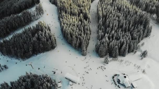 Karpatlar 'daki kayak merkezinin üzerinden kuş bakışı uçuyor. — Stok video