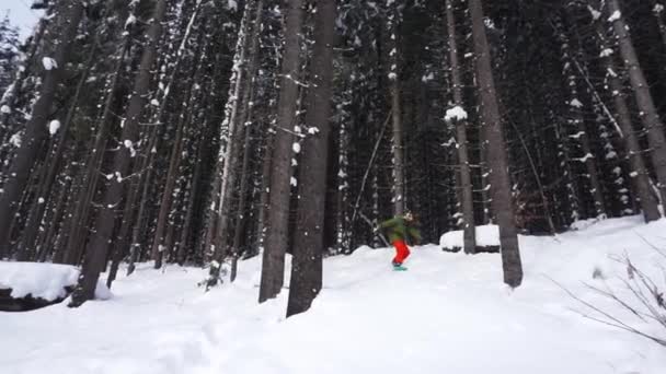 Snowboarder rijdt tussen de bomen en valt over de helling — Stockvideo