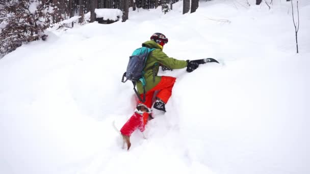 Snowboardista leze nahoru ti yhe svahu s malým psem — Stock video