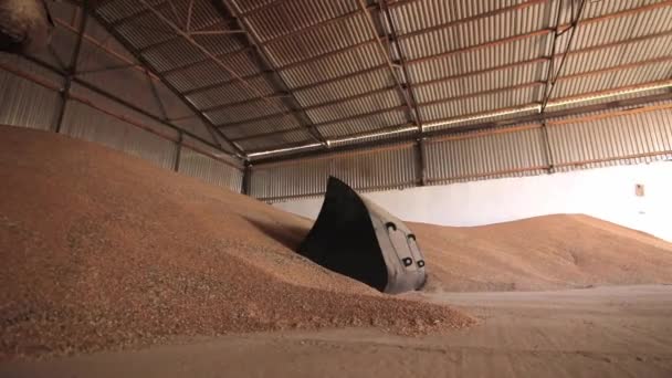 Panorama del hangar para almacenar grano de trigo . — Vídeo de stock