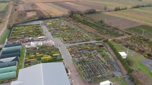 Drone vliegen boven bloemen en planten kwekerij bloemperken en kas in boerderij — Stockvideo