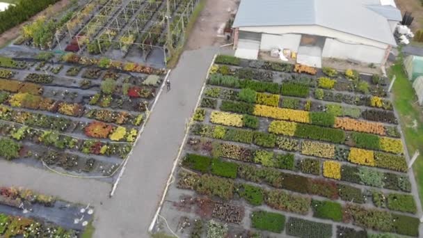 从空中俯瞰各种农作物和温室 — 图库视频影像
