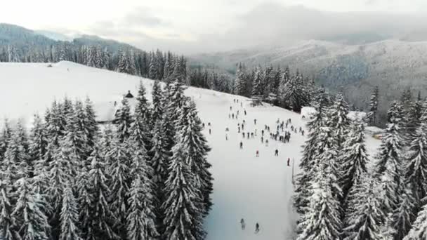 Beautiful landscape view of Carpathian mountains ski resort — 비디오