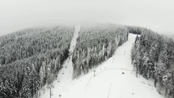 Skidområde för granskog i Karpaterna — Stockvideo