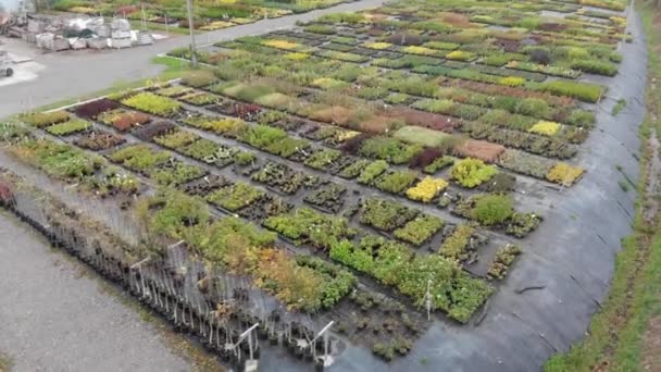 Vanuit de lucht botanische tuin planten teelt — Stockvideo