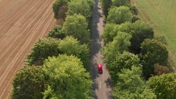 Vista superior ar vermelho carro dirige ao longo da estrada entre árvores — Vídeo de Stock