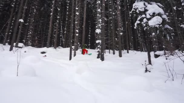 Snowboarder glijden tussen de bomen — Stockvideo
